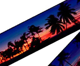 Palm Trees Guitar Strap 2 close up