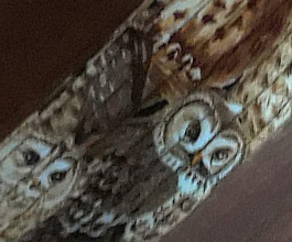 Owl Guitar Strap 4 close up